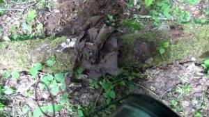 Поисковики. Владимир 2016. Демянск. Мясной Бор. Малая Вишера.