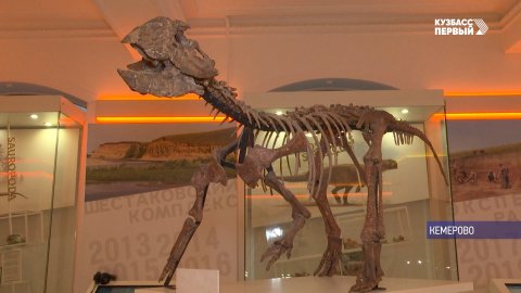 Новый символ Кузбасса