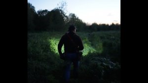 В поисках кабана в новом районе №2. 7 июня 2022