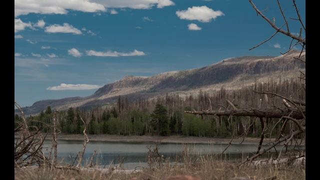 Звуки природы, пение птиц, Звуки Леса, для релаксации, сна, Медитации смотреть онлайн