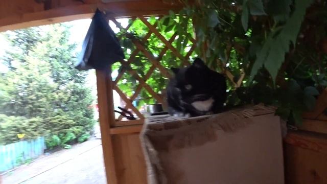 БЕСЕДКА к ОТДЫХУ готова/Мариную Шашлык из СЕРДЕЦ/НАКОНЕЦ Пришли ДОЖДИ #казахстан#дачныйвлог#дача