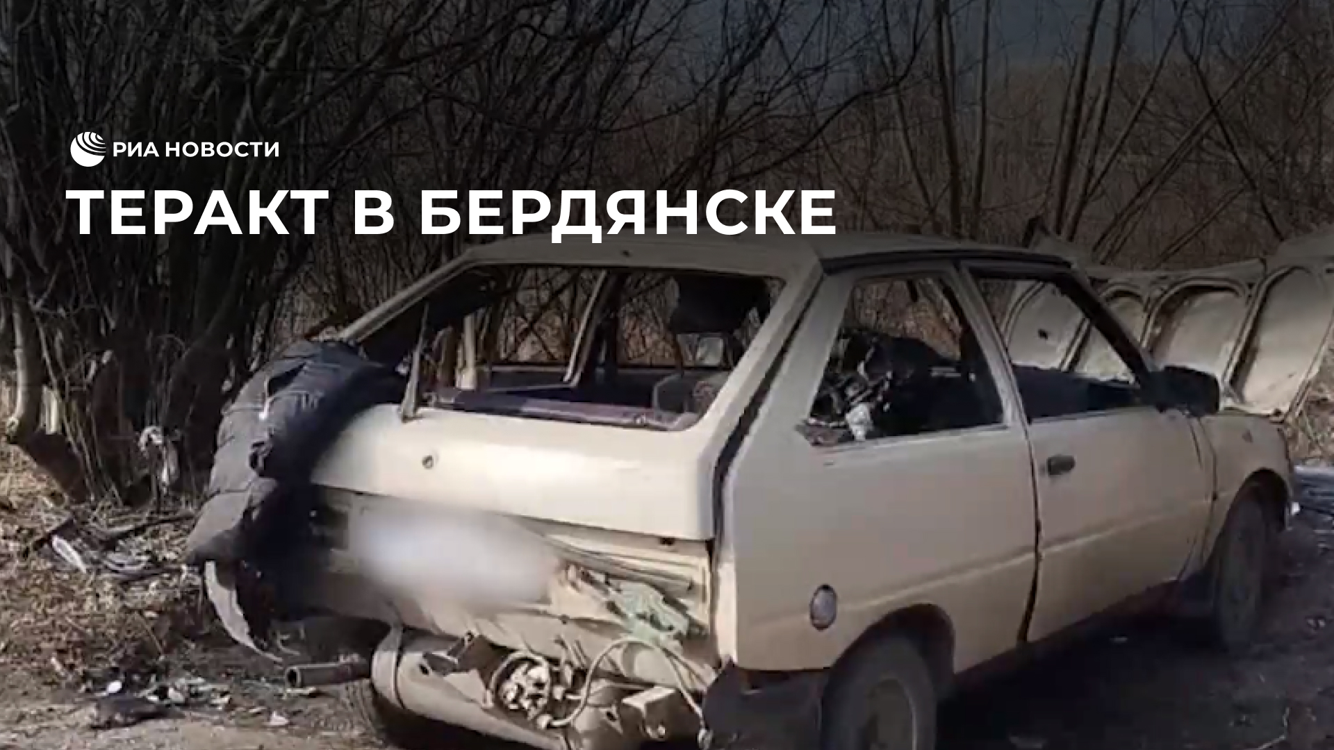 Балицкий назвал спланированным терактом взрыв в Бердянске