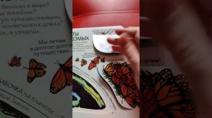 Сравнение энциклопедий с окошками про насекомых