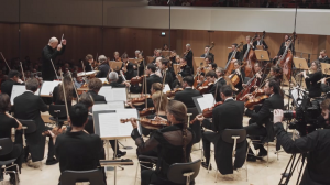 Антонин Дворжак - Концерт для виолончели - Пааво Ярви / Ян Фоглер.