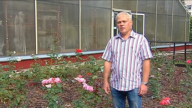 Создаем розарий в саду своими руками