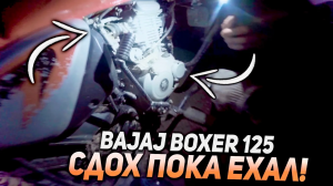 БОКСЕР 125 СДОХ - ПРОКАТИЛСЯ НА BAJAJ PULSAR 125