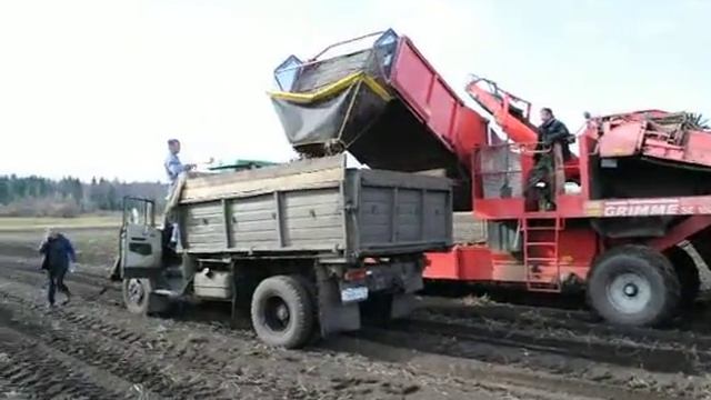 DSC 0200.mp4 смотреть онлайн