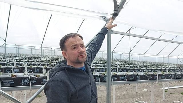 Обзор наших ягодных туннелей.