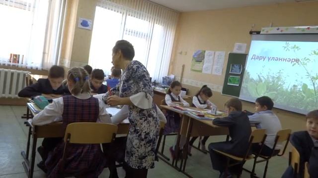 Урок татарского языка в 4 классе "Дару үләннәре" смотреть онлайн
