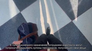 Стоимость багажа при авиаперелете и доплата за багаж при перевесе