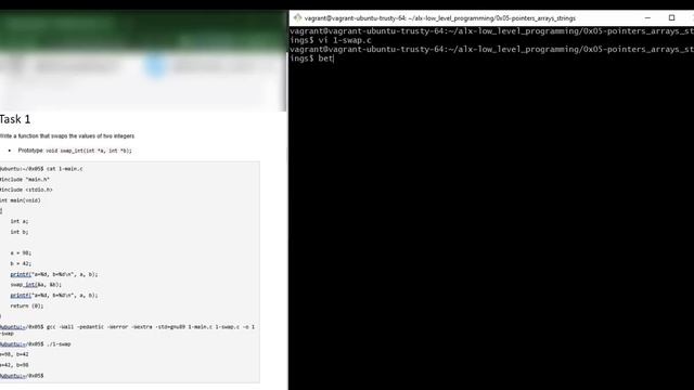 0x05 Pointers, arrays & strings (complete solution)