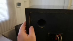 Yamaha ns 300x
