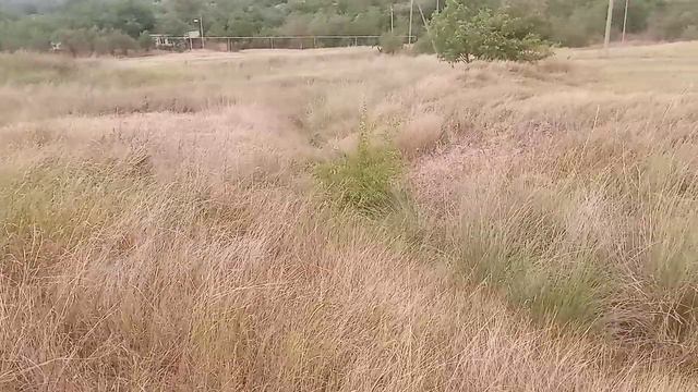 10 июля 2024 г..mp4 смотреть онлайн