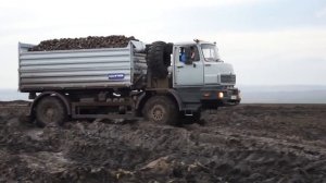 Сельскохозяйственный самосвал «Урал-432091» (САЗ) / Sugarbeet Harvest - UralAZ 4x4 (Farmer)