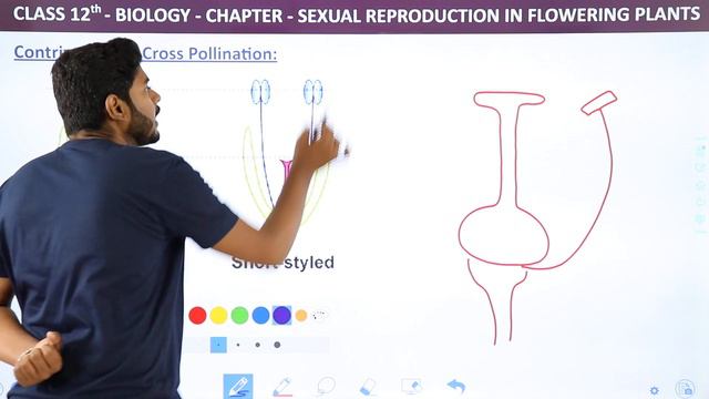 Contrivances of Cross Pollination | Class 12 Biology Chapter 2 NCERT/NEET (2022-23)