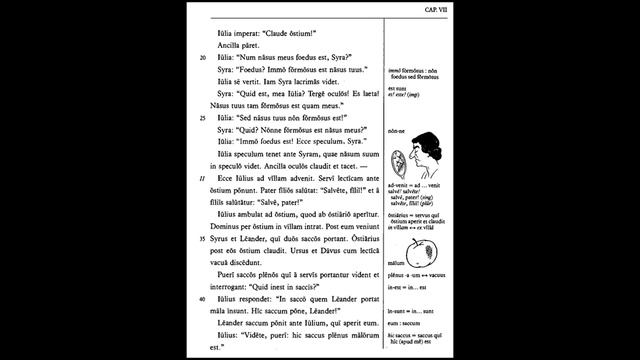 Латинский- 24