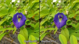 OnePlus 9RT VS OnePlus 9 Pro Camera Comparison | OnePlus 9RT Camera Review, OnePlus 9RT Unboxing