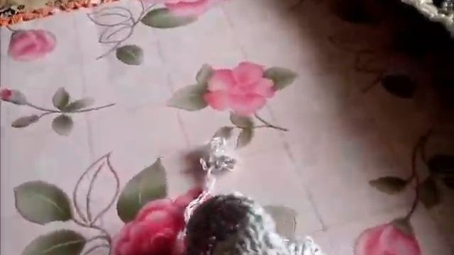 Всю пряжу в дело, носочки из пуха кота... смотреть онлайн