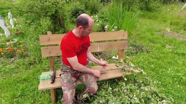 Веники берёзовые. Для бани. Самый правильный и лучший способ заготовки на зиму.