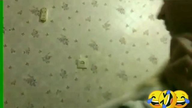 Как мы пытались снять видео.(кошка откусила пол жопы?) Она против моих видео? смотреть онлайн