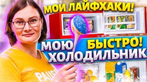Советы и Хитрости для холодильника. Храню зелень в полотенце.
