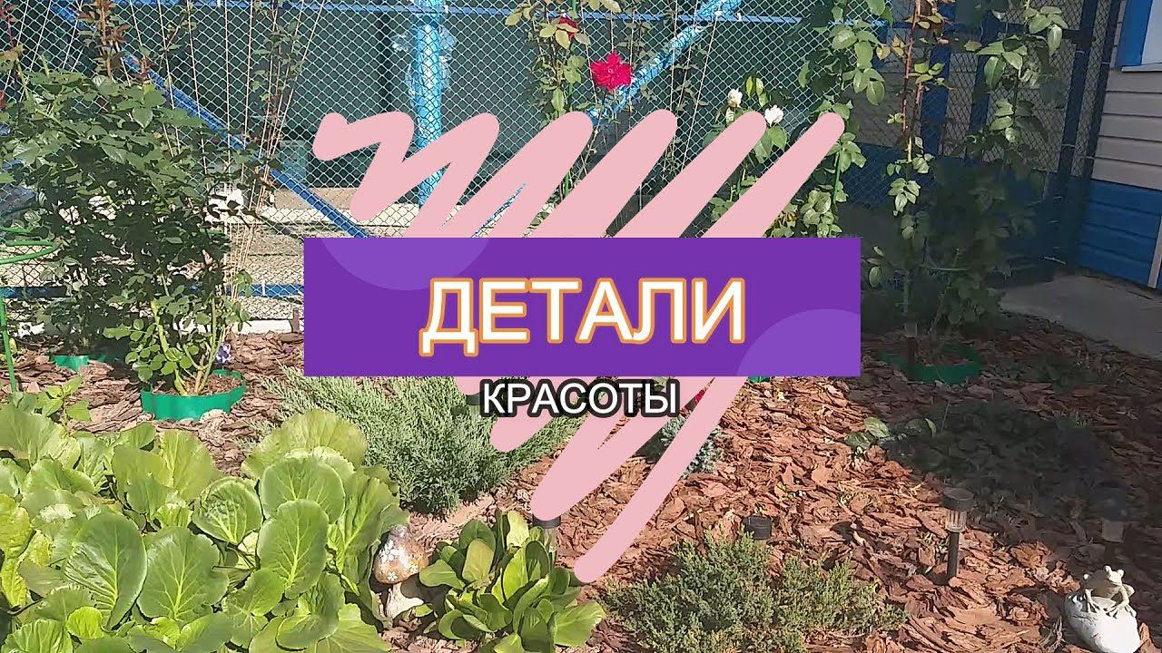 Vlog: Детали красоты/Beauty details
