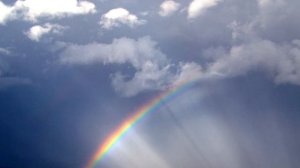 Я, ты, он, она видеоряд