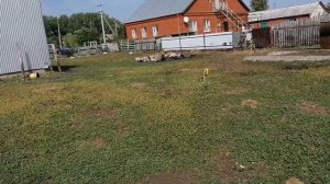 Кабанчик, три свинки и поросята - Дружная семья! / Свиньи на вольном содержании / Свиньи на воле