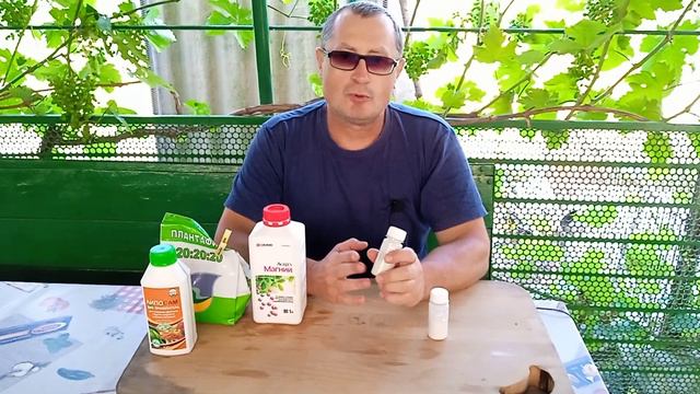 очередная обработка винограда смотреть онлайн