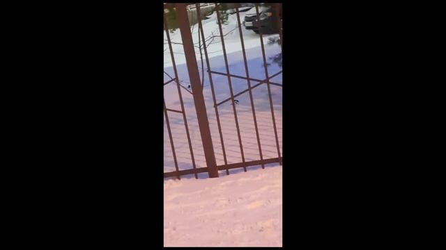 || РАЗДЕЛАСЬ НА УЛИЦЕ || РЕПОРТАЖ || Е-класс