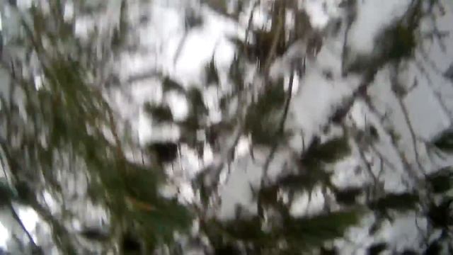 Расчистка завалов на путиках