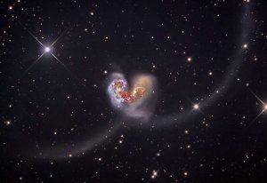 Мудрая жена