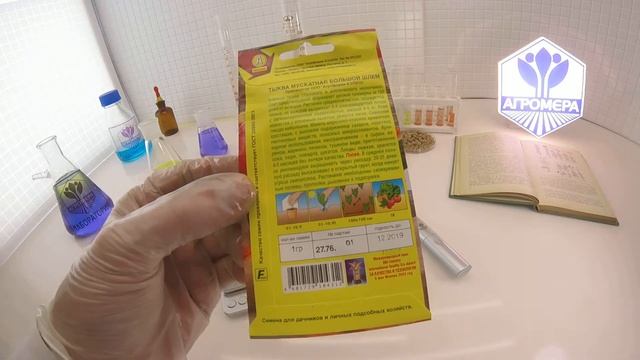 Тыква мускатная Большой Шлем. Аэлита смотреть онлайн