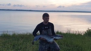 Курчатов_фидер_сом