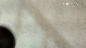 Домбай Сняли дом Где остановиться?