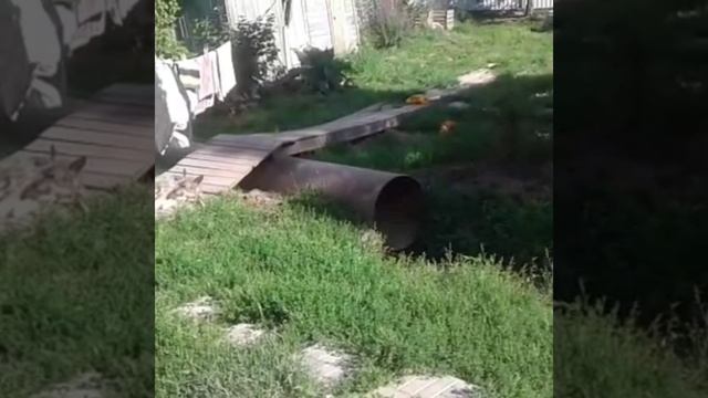приют Дворянское гнездо Санкт-Петербург