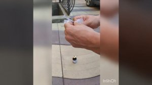 лечение петуха препоратом нитокс 200