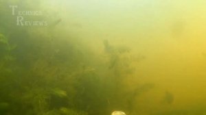 Подводная съемка реакция карася на тесто с корвалолом