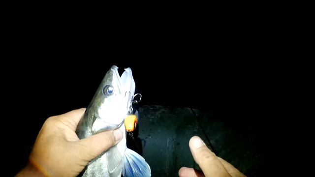 ECLIPSE Landrago 90F.Еще одна рыбалка на судака. смотреть онлайн