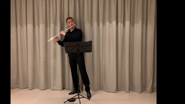Jan Freidlin. Partita for flute solo смотреть онлайн