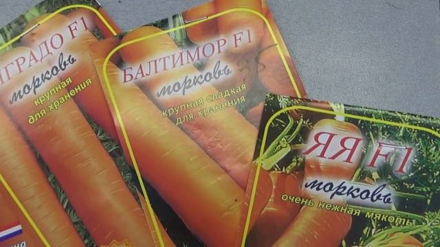 Какую морковь выбрать для посева? смотреть онлайн