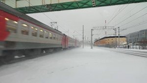 Электропоезда ЭД4М-0054, ЭД4М-0288/ЭД4М-0374/ЭД4М-0198 и ЭП2Д-0157 на станции МЦД Косино