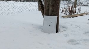 Выбор дротиков для арбалета пистолета!