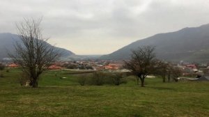 Разные времена года | Дачу-Борзой