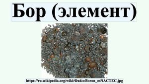 Бор (элемент)