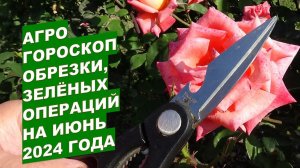 Агрогороскоп обрезки сада, зелёных операций на июнь 2024Agrohoroscope for garden pruning and green