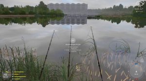 Русская рыбалка 4 - река Волхов - Угорь на лягушку