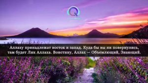 Сура Аль Бакара на всю ночь