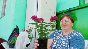 Накупила красоты. Жизнь в деревне .Хроника дня.