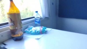 ШОК!!! В КУПЕ ПОЕЗДА МИНСК-АДЛЕР